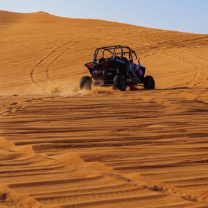 Mleiha Landscapes Tour in Dune Buggy Top-Rated Attractions